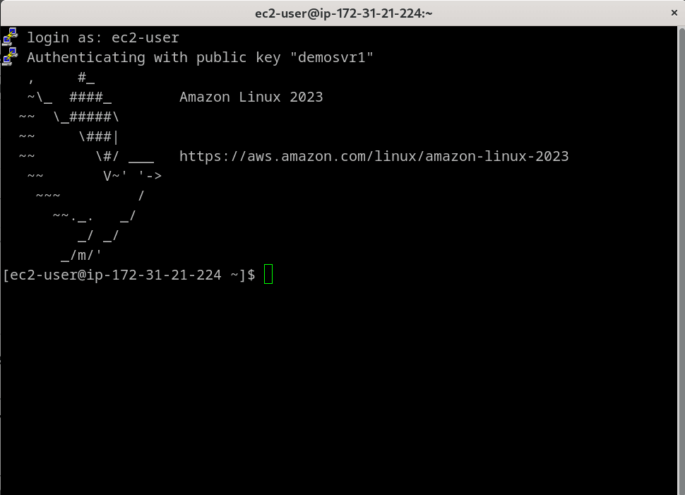 How to access EC2 Instance via putty